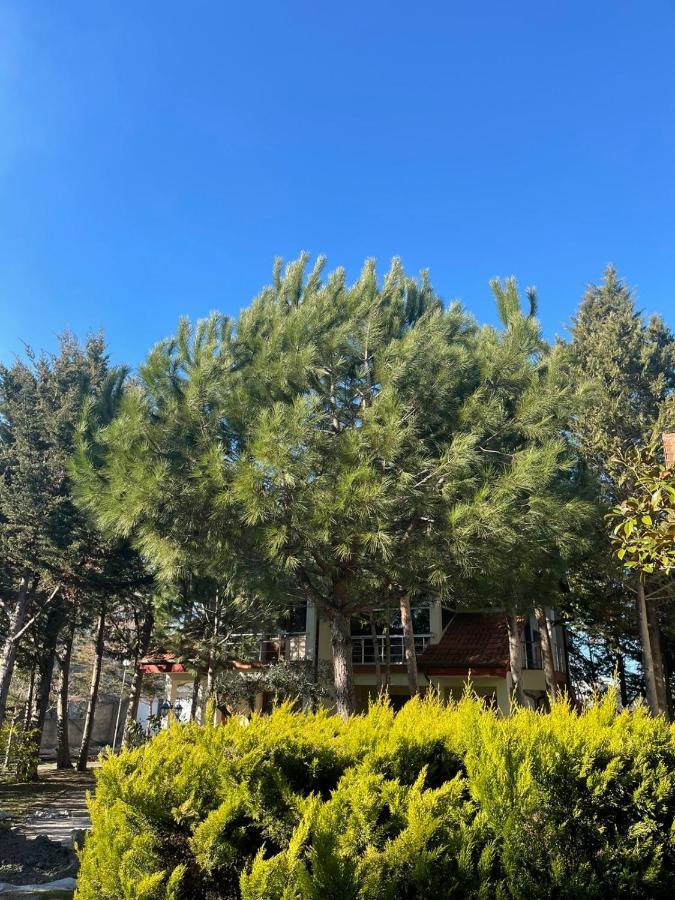 גולם Hotel Garden Villa Ardo מראה חיצוני תמונה