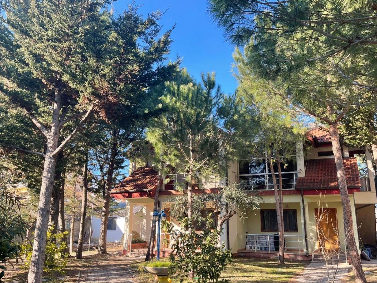 גולם Hotel Garden Villa Ardo מראה חיצוני תמונה